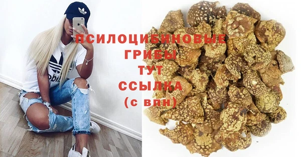гашик Кулебаки