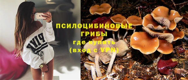 гашик Кулебаки