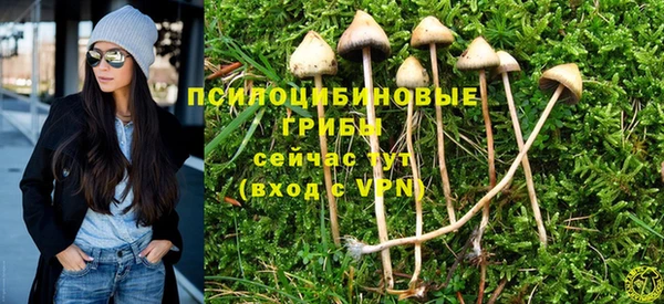 марки lsd Кукмор