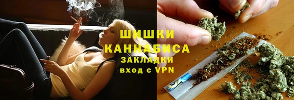 гашик Кулебаки